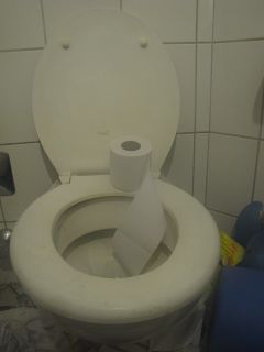 Klo und Klopapier