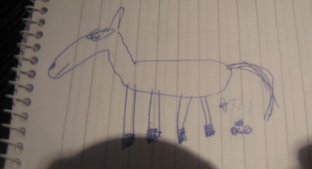 Pferd.