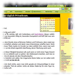 Screenshot meines Blogs.