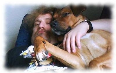 Hund will immer nur kuscheln!