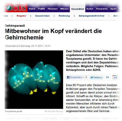 Screenshot Focus-Bl�dsinn.