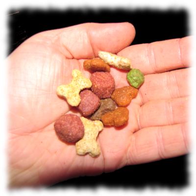 Handvoll Hundefutter.