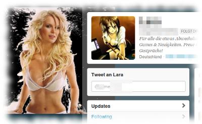 Screenshot Spamfolloweraccout bei Twitter.