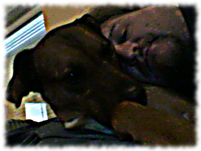 Bruno und Ulf kuscheln.