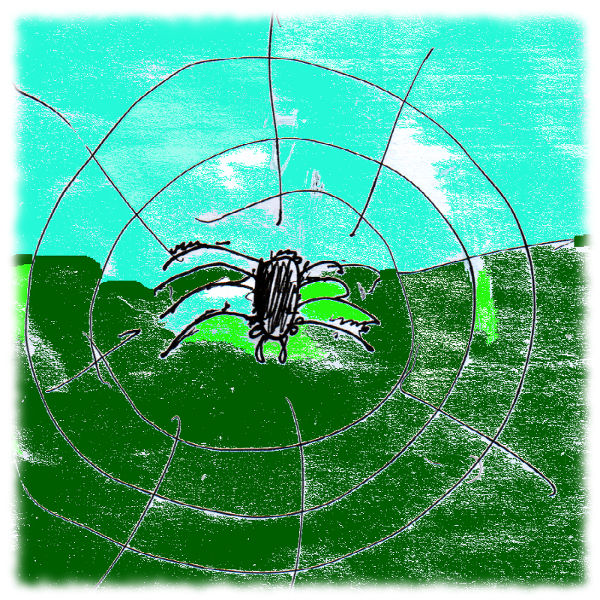 Spinne im Netz.