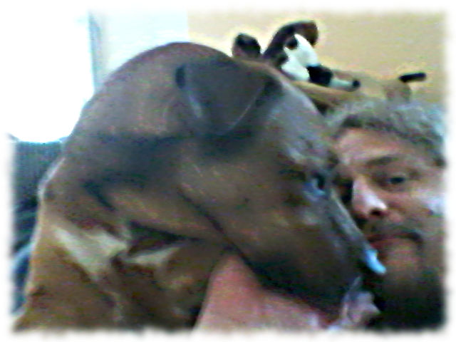 Vom Hund getrstet.