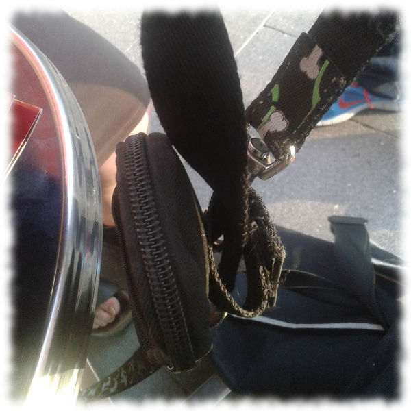 Handytasche als Kotbeuteldepot an der Leine.