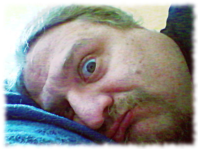 Wachsamer Blick.