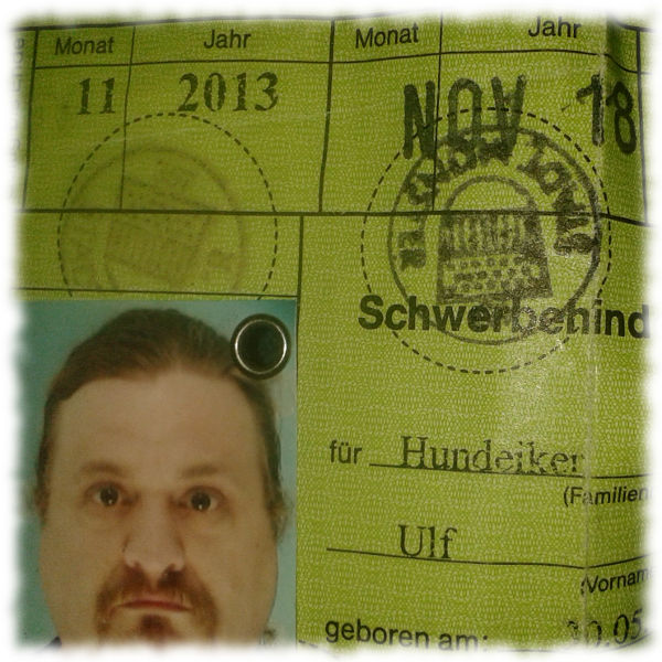 Ausschnitt aus meinem Schwerbehindertenausweis.