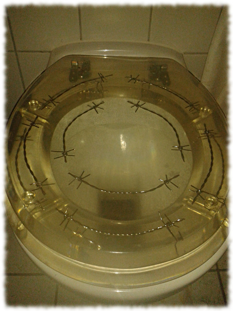 Reparierter Stacheldraht-Klodeckel.