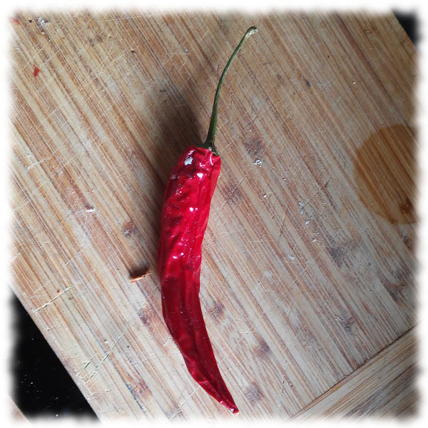 Chilischote auf Holzbrett.