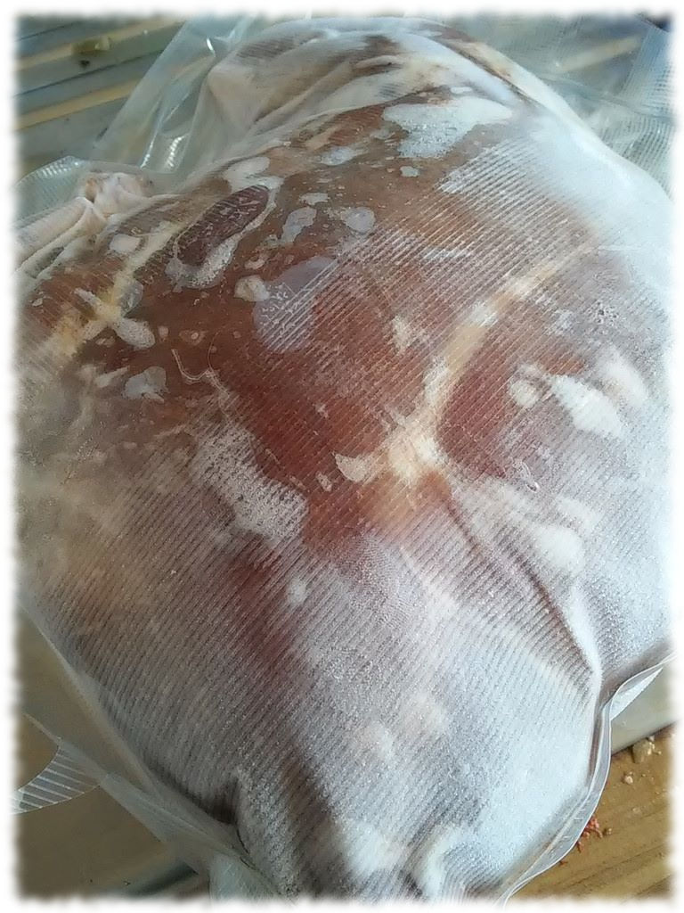 Rehkeule, noch gefroren im Beutel.