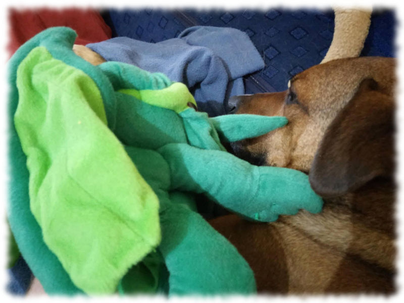 Cthulhu (Handpuppe, Plsch) schmust mit Hund Bruno.