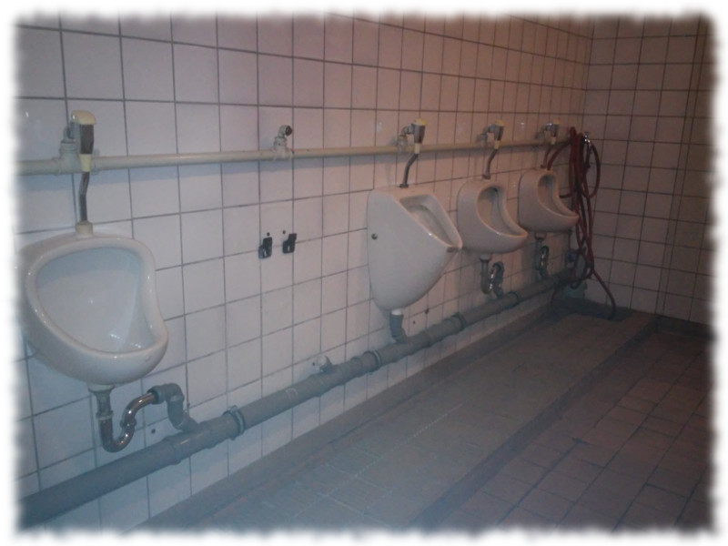 Pissoirs in der alten PARTEIschule Erfurt 