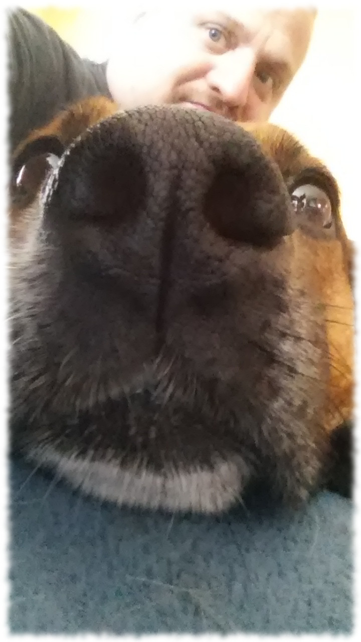 Hund Bruno