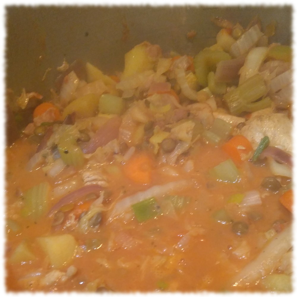 Gemsesuppe, sieht ein wenig aus wie Erbrochenes, riecht aber lecker.