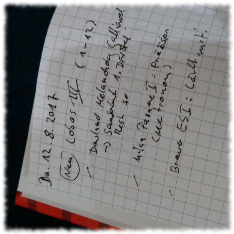 bungstagebuch (Inhalt siehe Text)