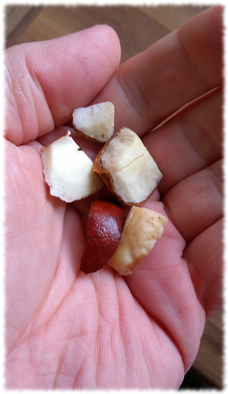 ein paar Kastanienbrocken.