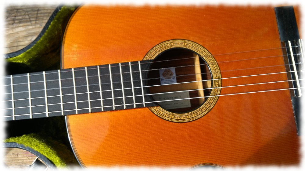 Gitarre (vor allem Korpus)) im Koffer.
