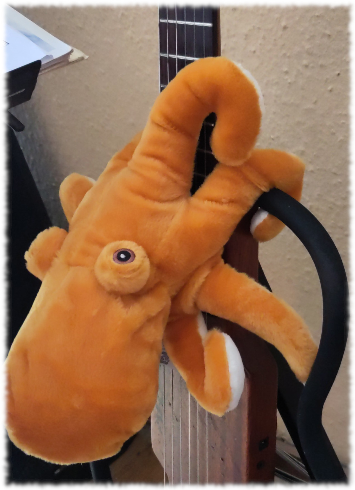 Orangefarbener Plschkrake hngt an einer Aria Sinsonido (Silent Guitar ohne richtigen Korpus) 