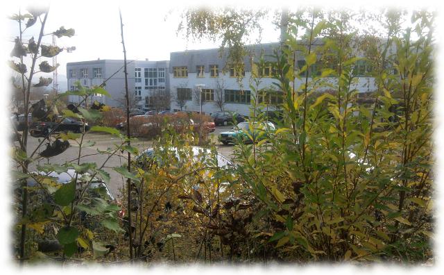 Unser Klinikgebude eingerahmt von Gestrpp sieht gar nicht so bel aus, wie auf den ersten Blick.