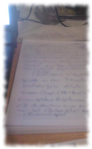 Ulfs Notizen.
