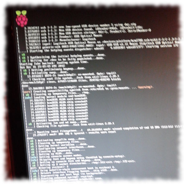 Installationsbildschirm von Raspian.