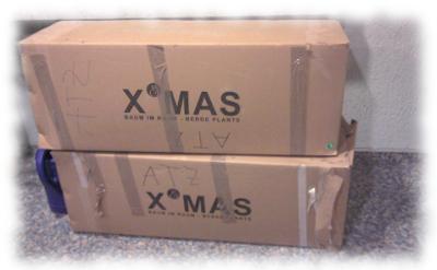 Knstliche Tannebume in Kartons verpackt.