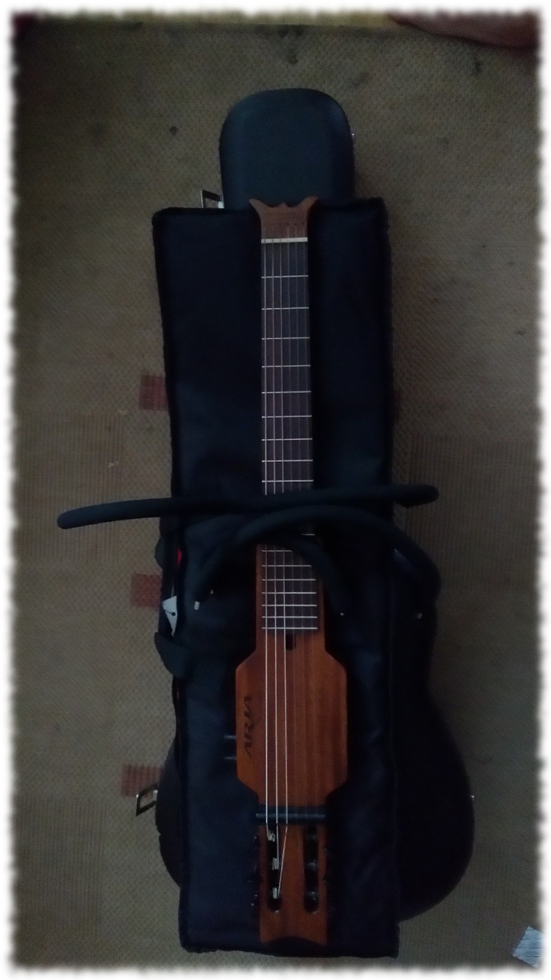 Aria Sinsonido zerlegt mit den Bgeln auf dazugehriger Tasche, alles zum Grenvergleich auf normalem Gitarrenkoffer. 