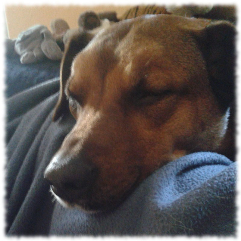 Bruno, arglos.